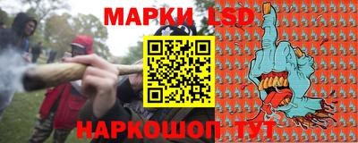 spice Новозыбков