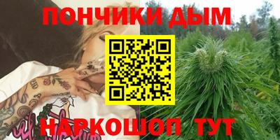 apvp Новодвинск