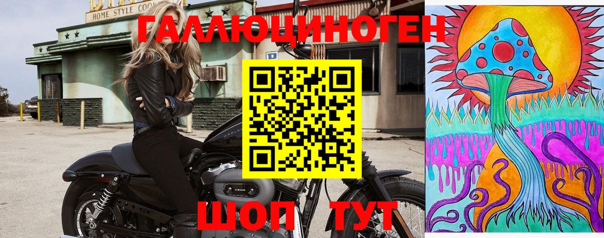 Галлюциногенные грибы прущие грибы Урюпинск