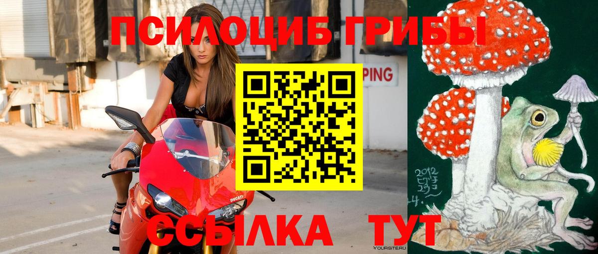 купить   Псилоцибиновые грибы Psilocybe  Урюпинск  Вход с VPN  Галлюциногенные грибы мицелий 